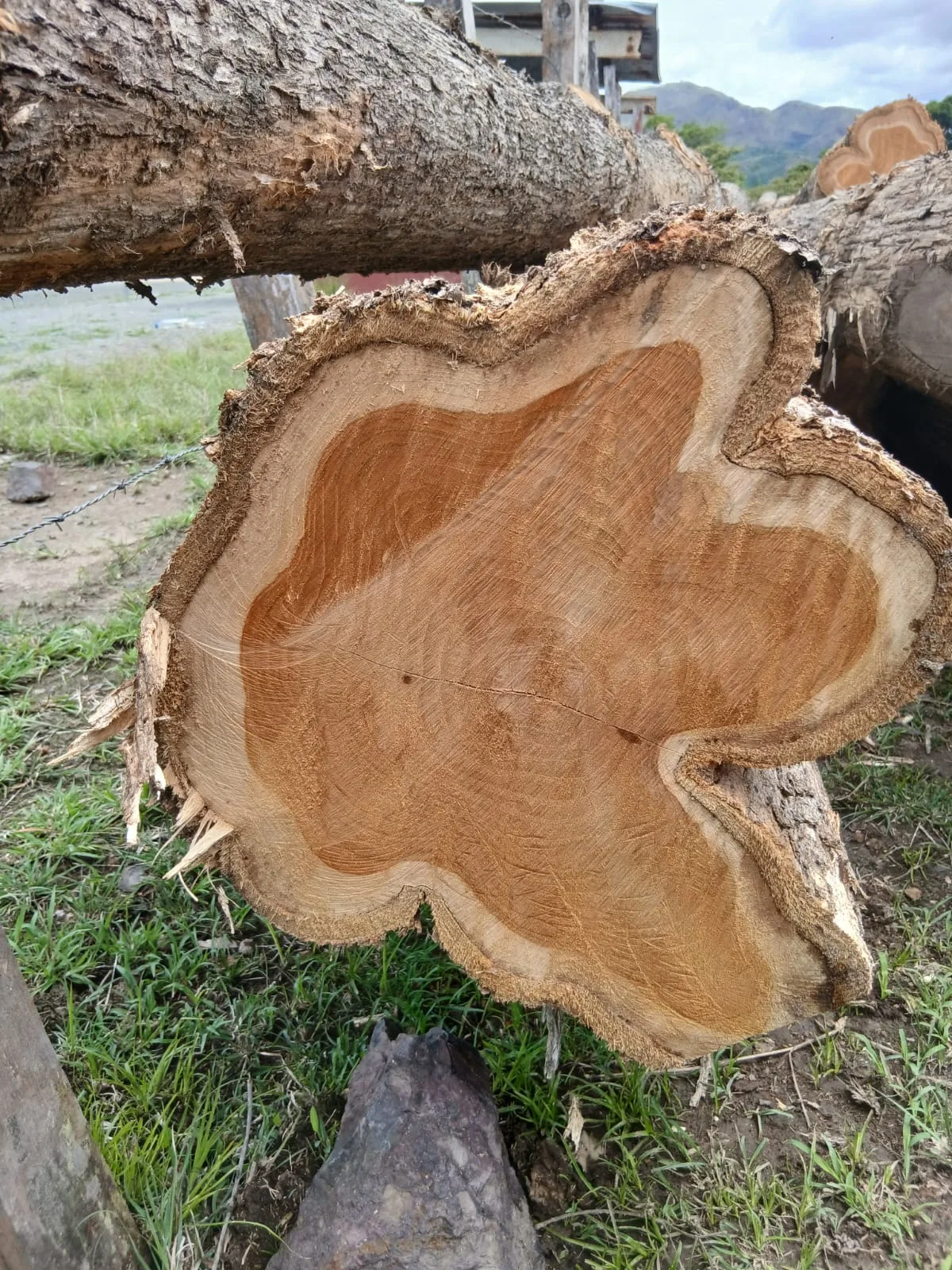 Madera de teca